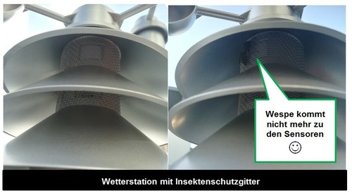 Insektenschutz für die